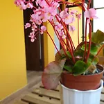 Bilona - La Colina Apartment Arnuero