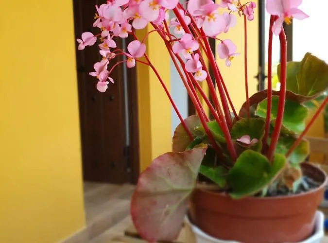 Bilona - La Colina Apartmán Arnuero