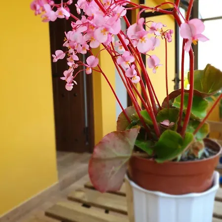 Bilona - La Colina דירה ארנוארו